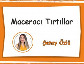 Maceracı Tırtıllar Sınıfı