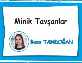 Minik Tavşanlar Sınıfı