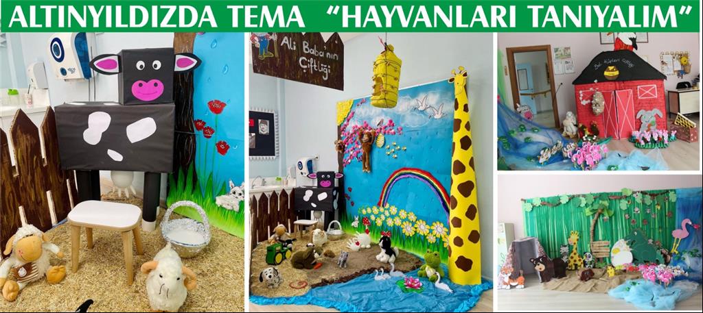 ALTINYILDIZDA TEMA HAYVANLARI TANIYALIM