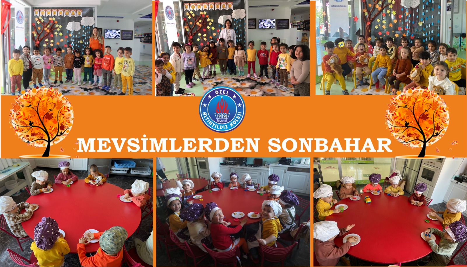 MEVSİMLERDEN SONBAHAR